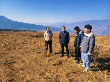 【兴农先锋】草学院专家赴凉山州开展冬季饲草生产技术服务