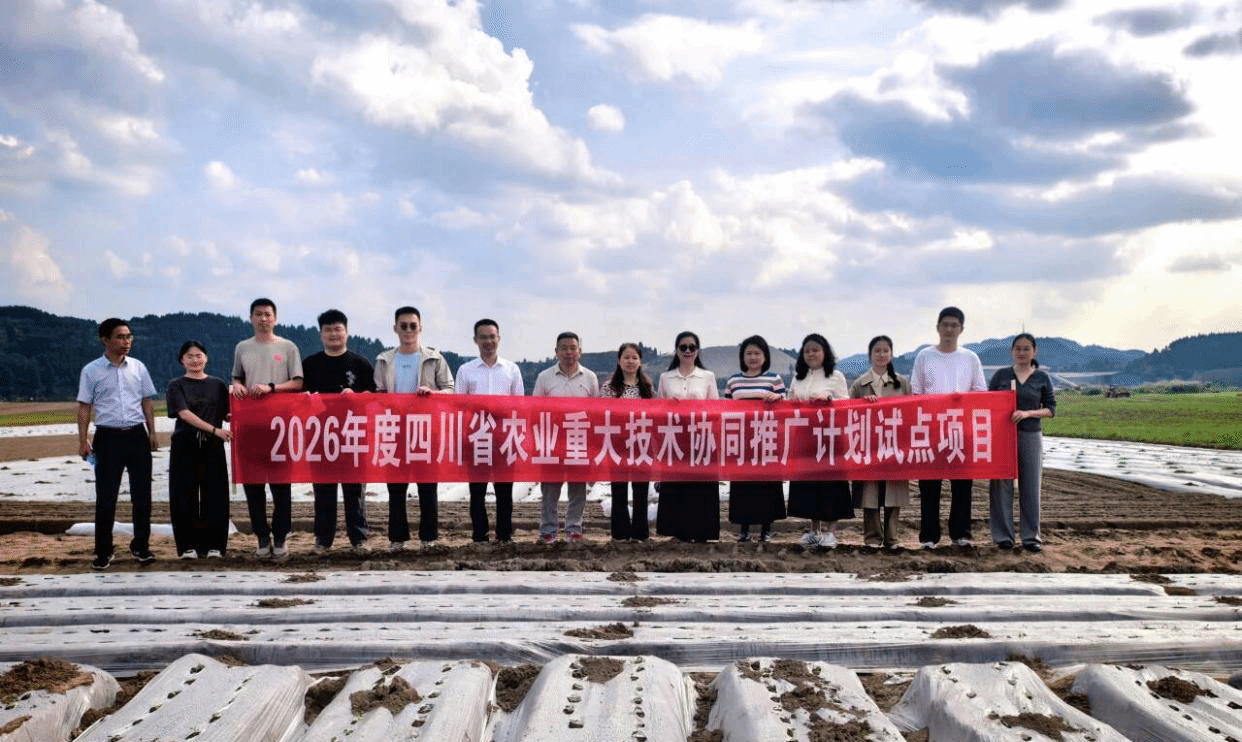 【兴农先锋】我校专家指导可降解地膜用于生产