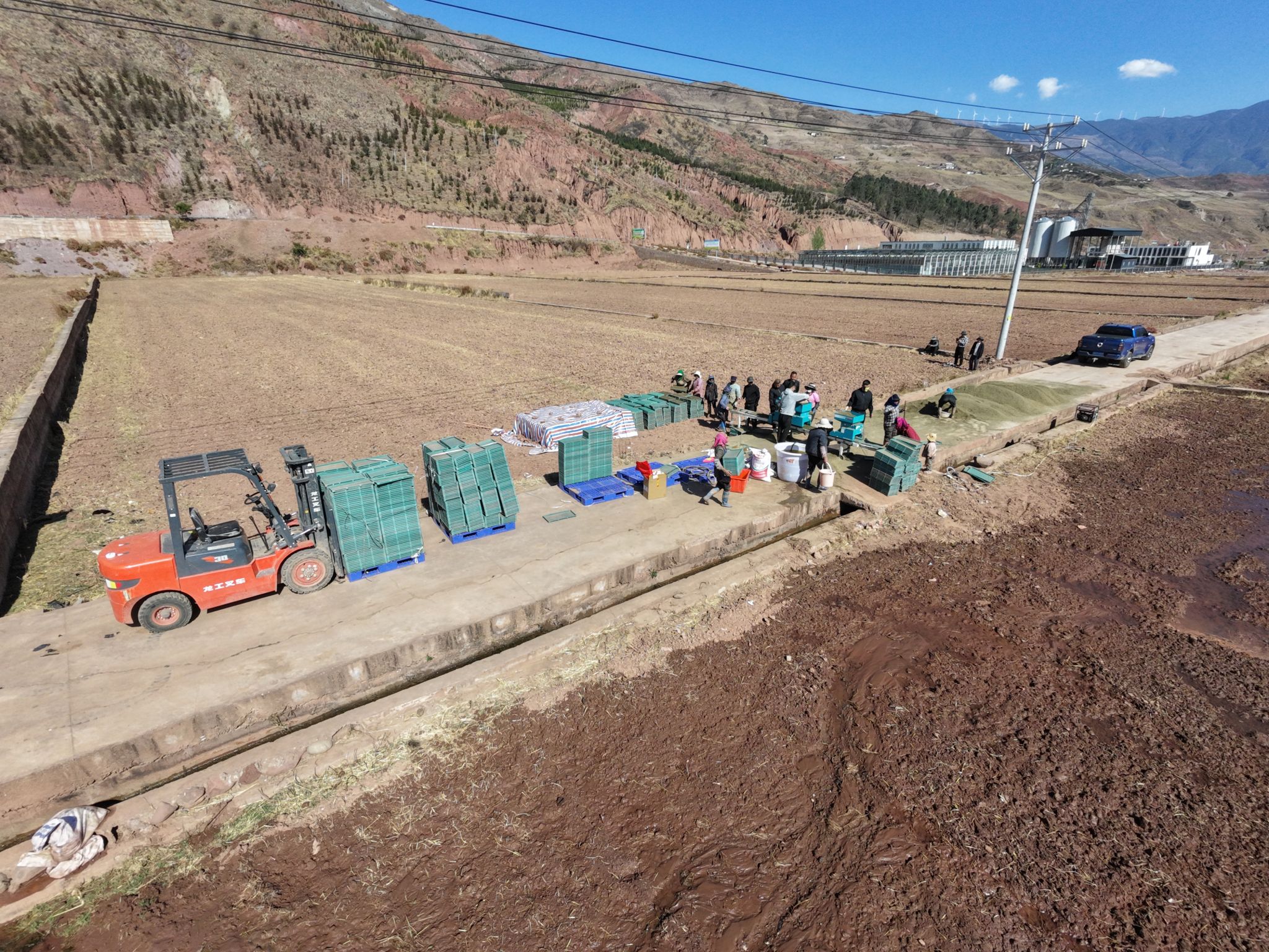 【兴农先锋】我校研发的水稻全程机械化技术在凉山普格等地协同示范推广