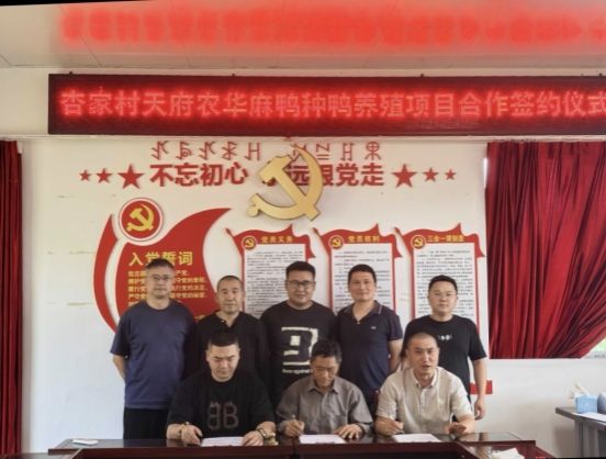 【荥经组工】宝峰彝族乡杏家村：从“卖肉鸭”到“售金蛋”，产业升级撬动彝乡振兴路