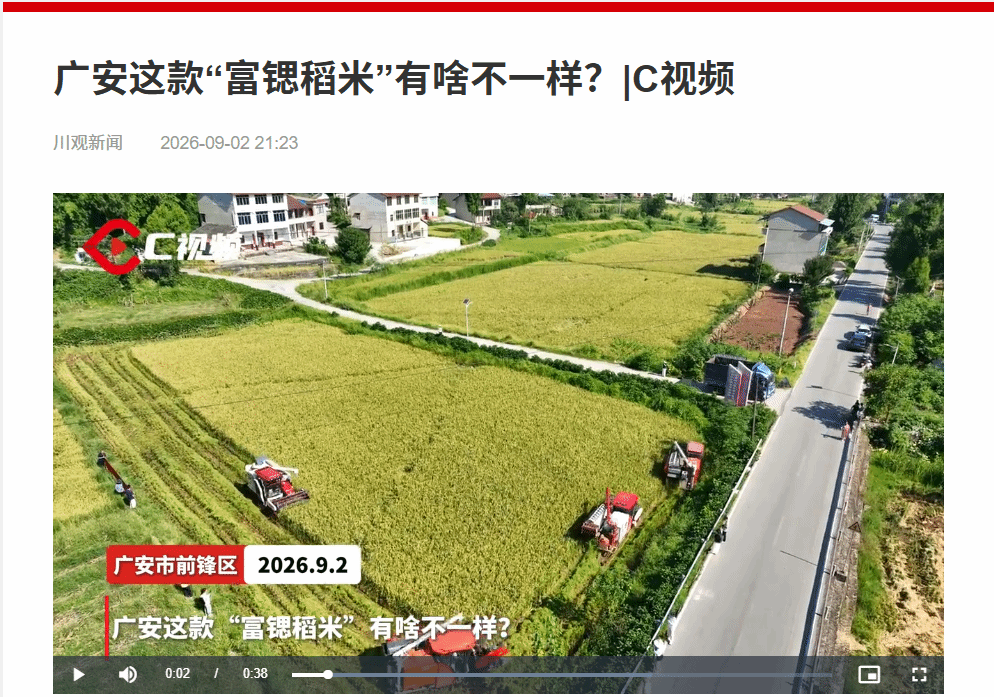 （川观新闻）广安这款“富锶稻米”有啥不一样？|C视频