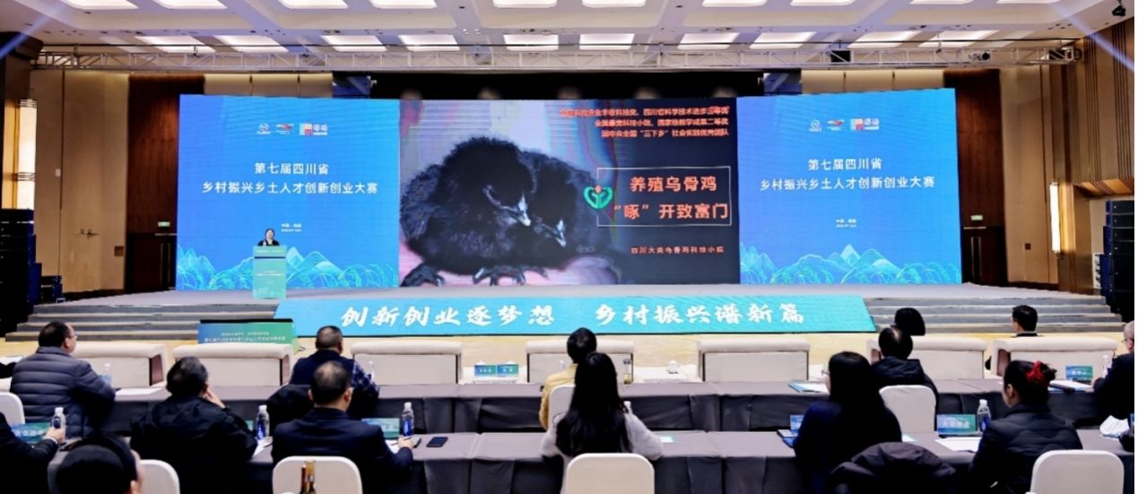 我校10支科技小院团队在四川省乡村振兴乡土人才创新创业大赛决赛中喜获佳绩