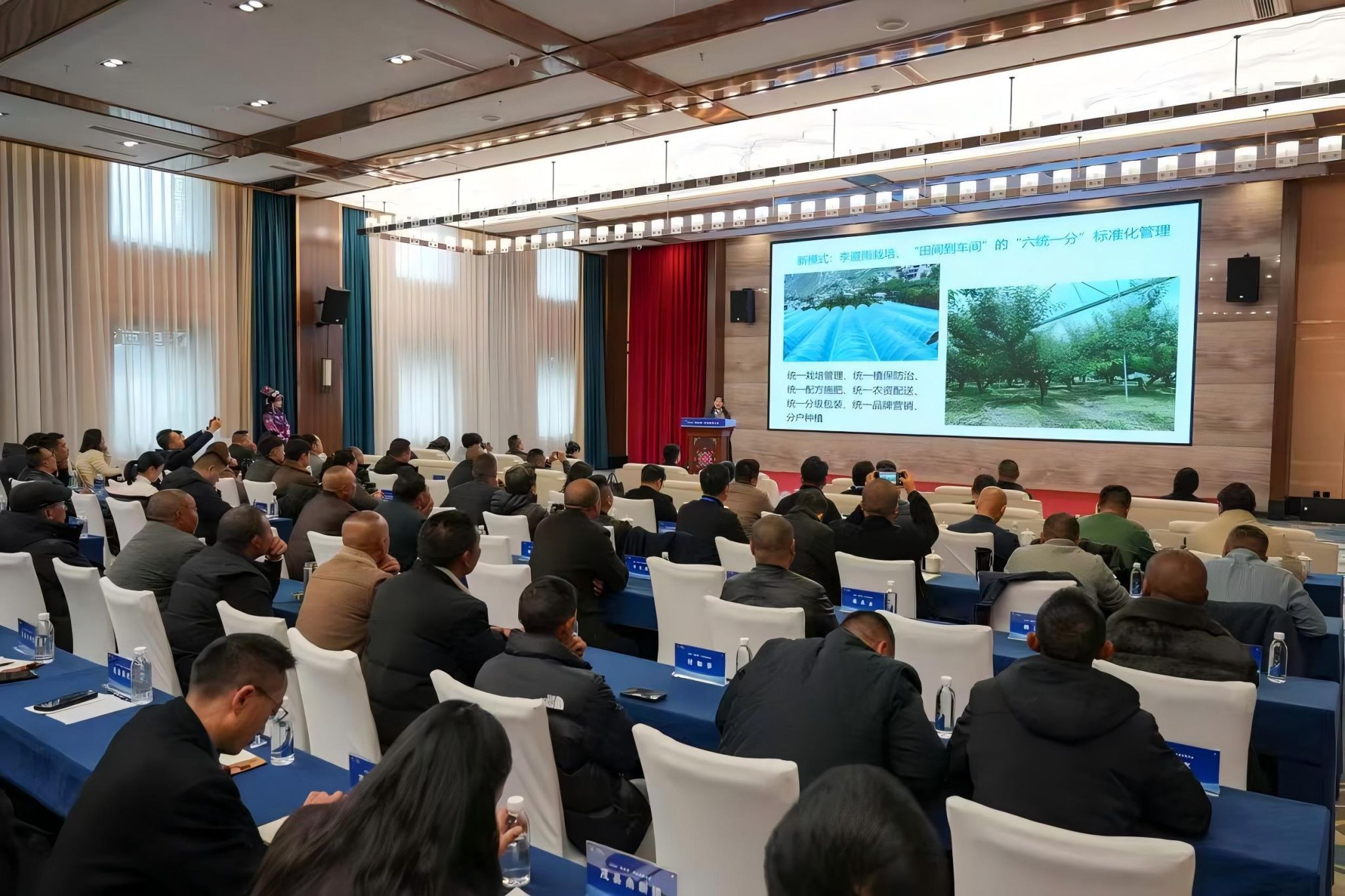 吕秀兰教授团队应邀参加“茂县李”产业发展大会