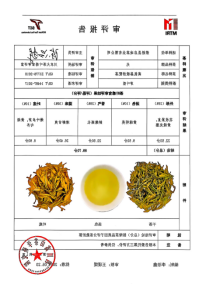 叶色特异茶树品种茶叶新产品