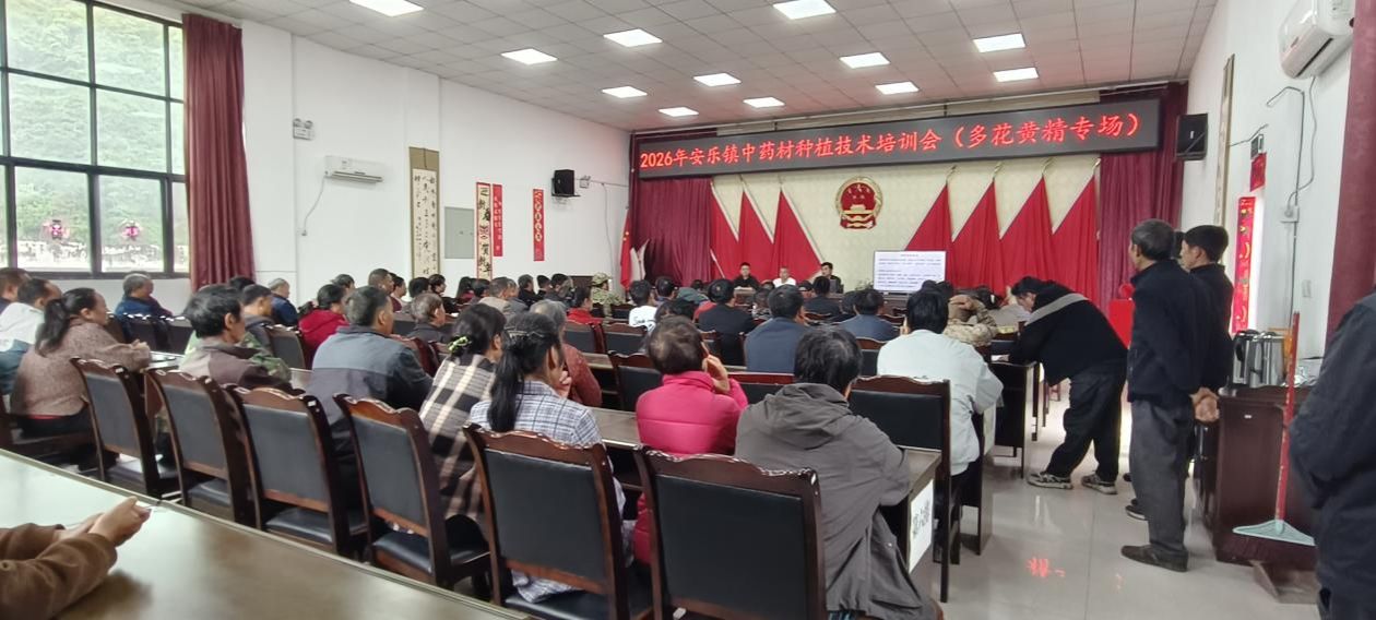 【兴农先锋】兽用中药资源与制剂研究岗位专家赴汉源县开展黄精栽培技术培训