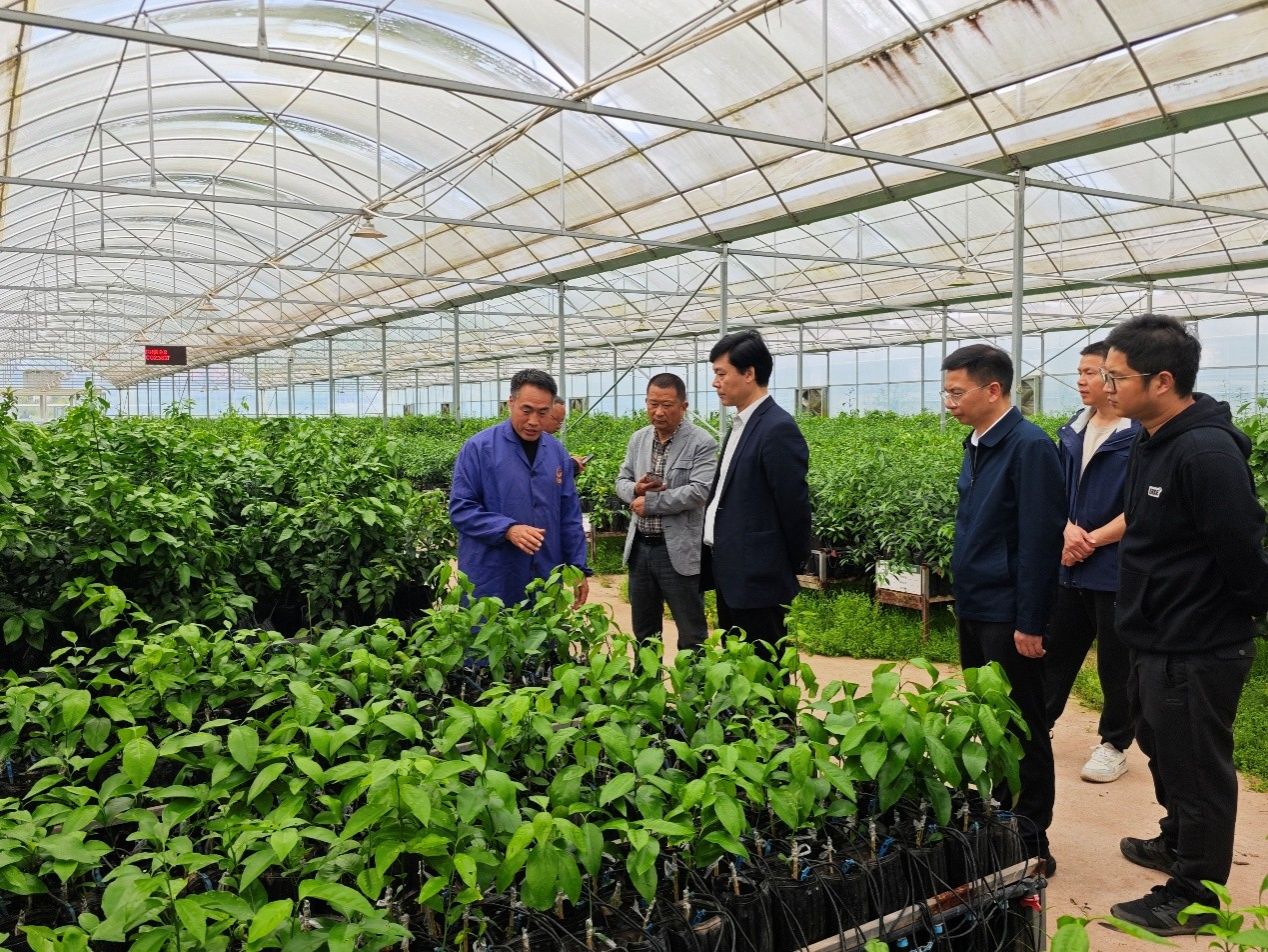 【兴农先锋】汪志辉教授带队赴南充助力晚熟柑橘产业发展