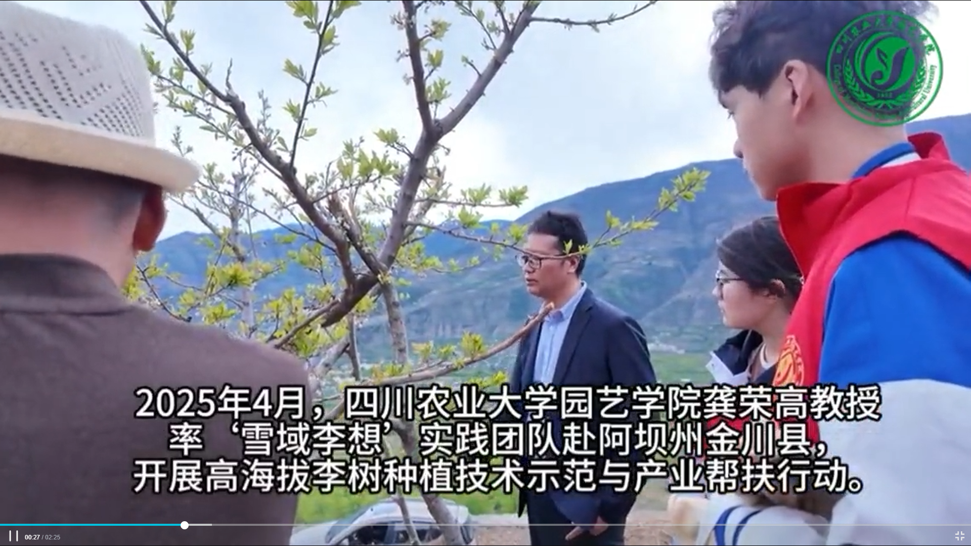 （中国青年报客户端）破解高原高寒区栽培难题 四川农大师生为金川培育“致富李”
