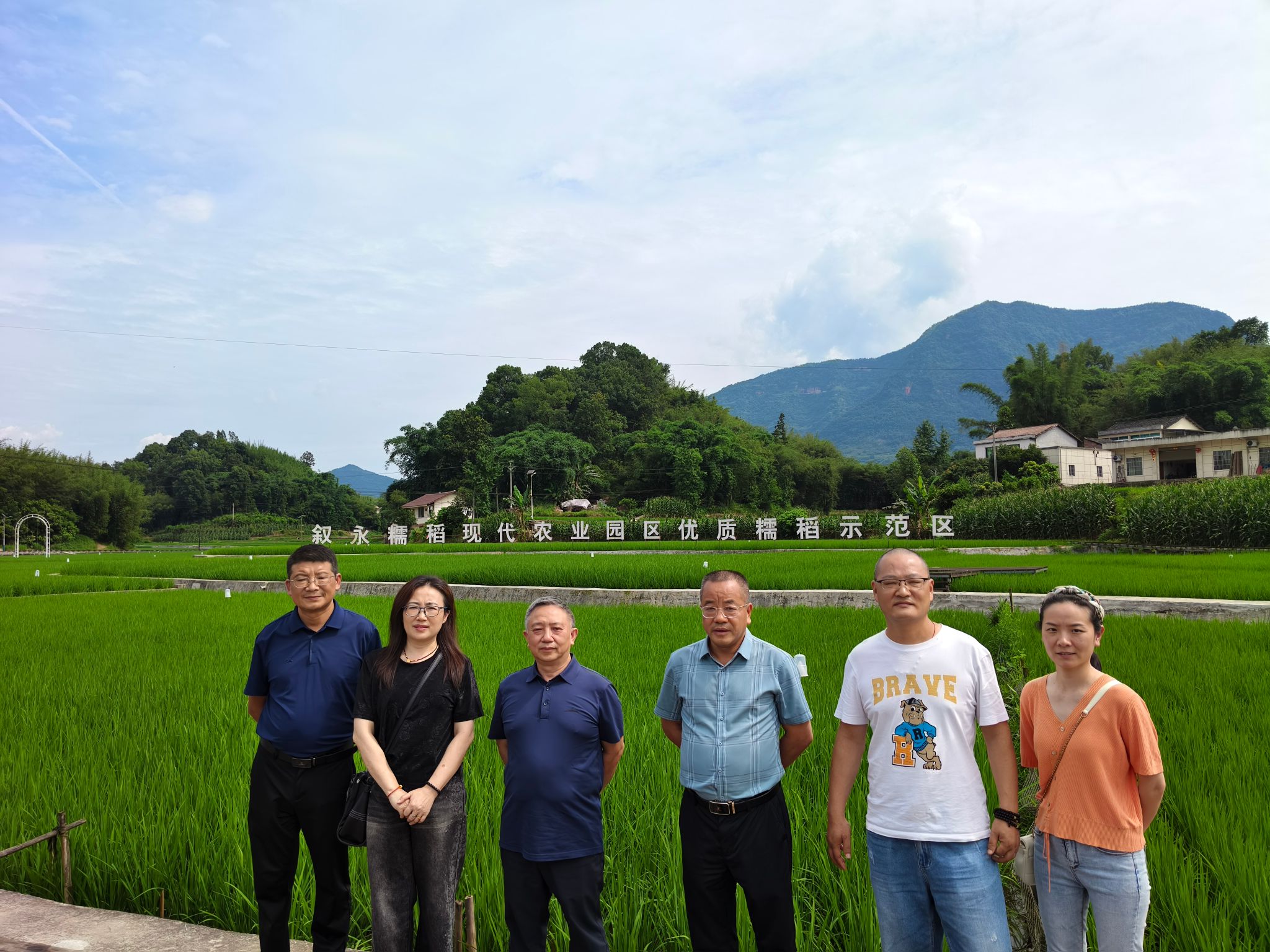 一颗糯米的科技“稻”路—川农大持续12年赋能叙永糯稻产业