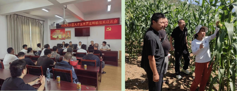 【兴农先锋】我校专家赴金阳开展科技帮扶 助力特色作物产业提质增效