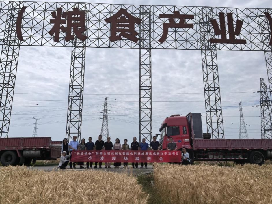 科技赋能“天府粮仓”：“五新六化八标准”驱动智慧稻麦 示范基地小麦单产创新高！